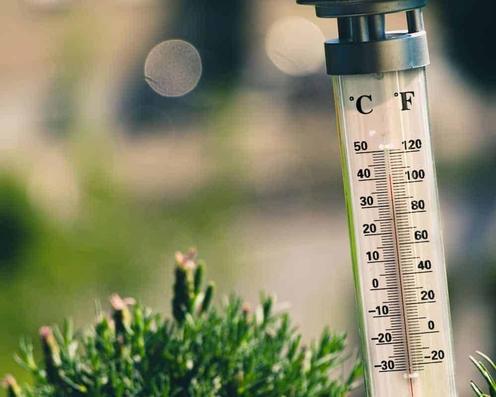 An outdoor thermometer.