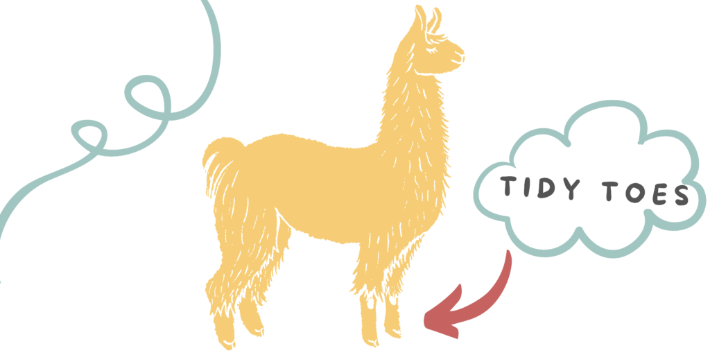 This is a graphic of a happy llama with an arrow pointing to their feet and a word bubble that reads "tidy toes".