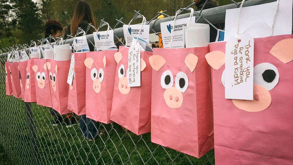 A series of handmade paper bags decorated like pig faces, with goodies within.