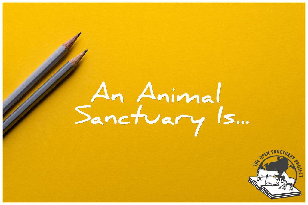 A graphic with two pencils and the words "An animal sanctuary is..."