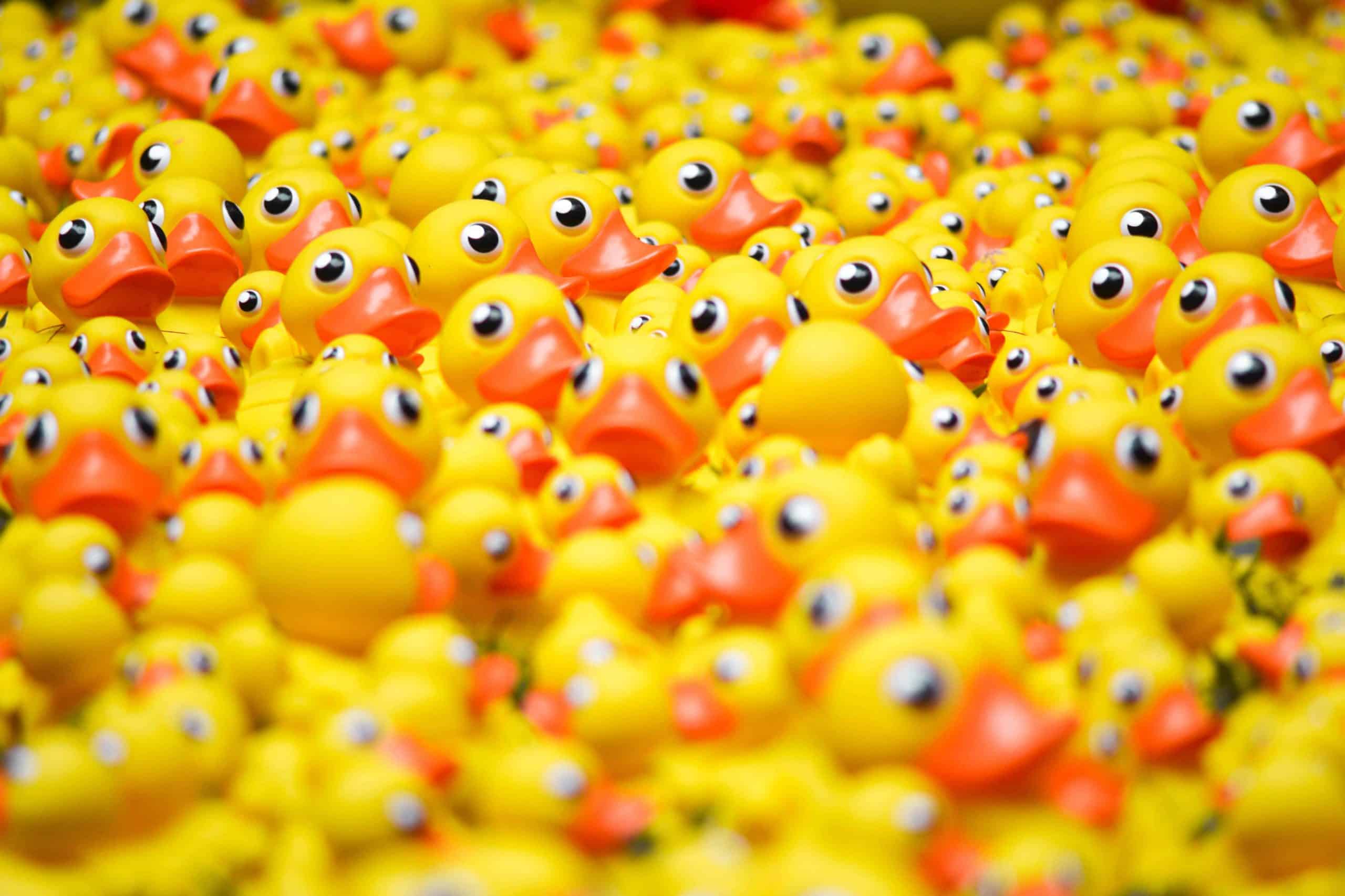 An uncountable amount of rubber duckies together.