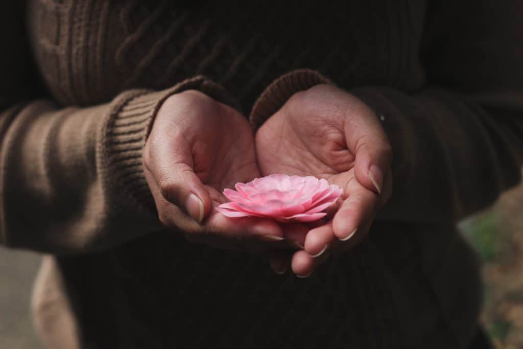 A human holding a lotus flower in their hands.