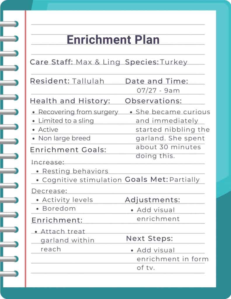 A graphic of notebook paper with a sample enrichment plan for a turkey.