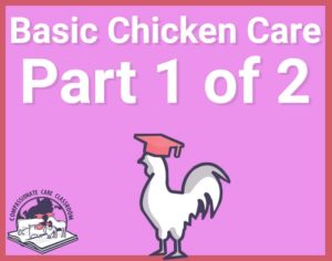 Basic Chicken Care Part 1 of 2 icon