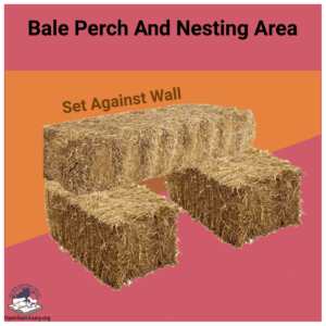 A graphic demonstrating how to make a straw perch and nesting area for geese. It shows two hay bales set against a wall, with a third one placed on top of them, against the wall, allowing for a place to perch as well as a spot between the two bottom bales to nest in.
