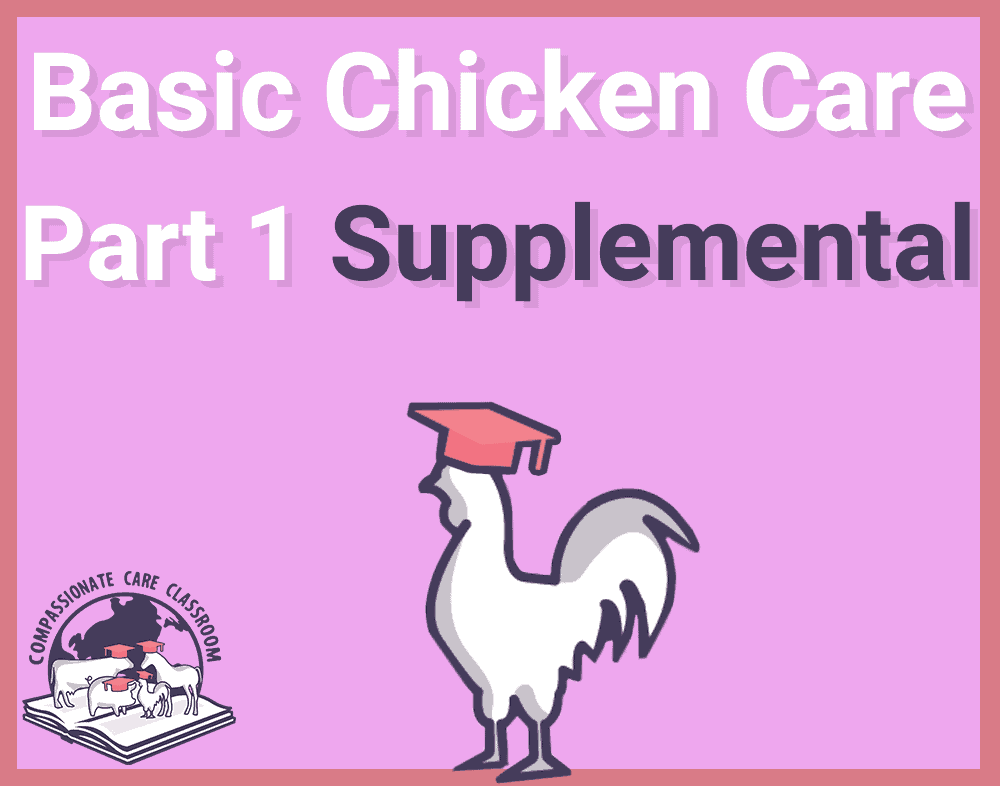 Basic Chicken Care Part 1 Supplemental