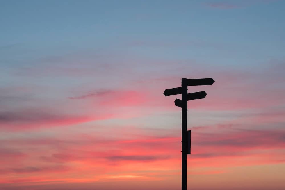 A silhouette series of directional signposts against an evening sky.