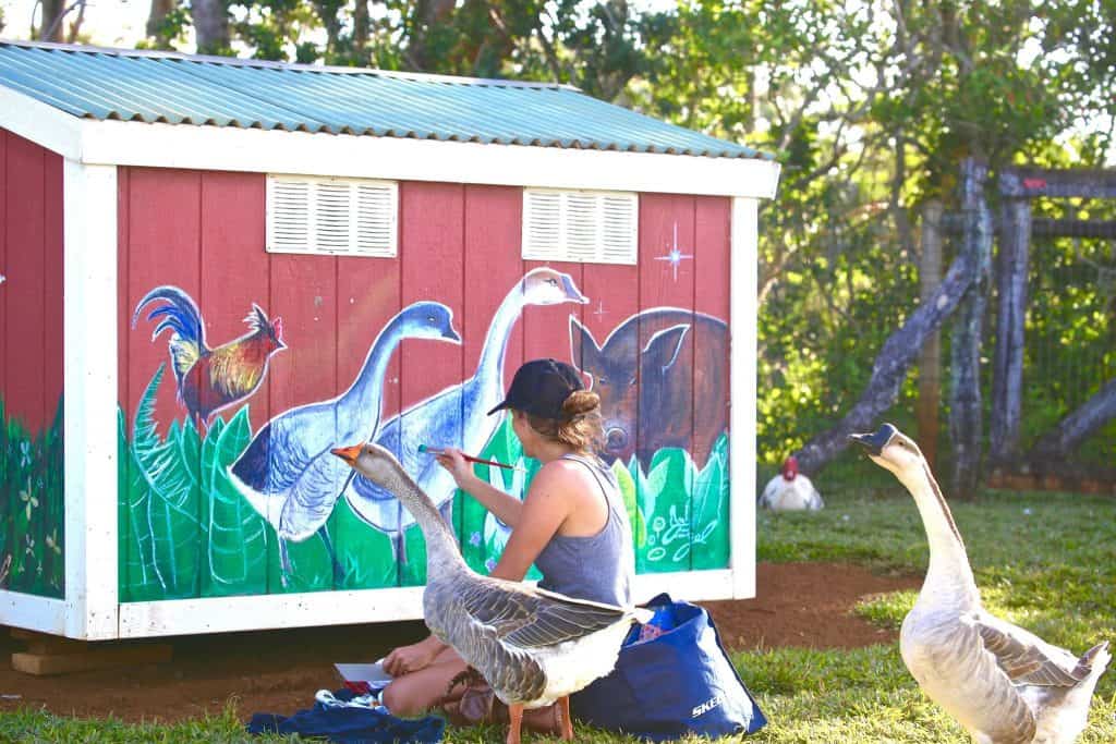 Artist paints side of goose housing while the geese observe.