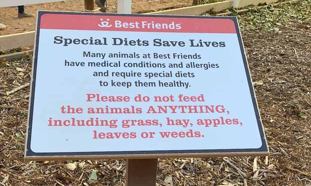 A sign at Best Friends Animal Sanctuary. It reads "Special Diets Sae Lives. Many animals at Best Friends have medical conditions and allergies and require special diets to keep them healthy. Please do not feed the animals ANYTHING, including grass, hay, apples, leaves, or weeds"
