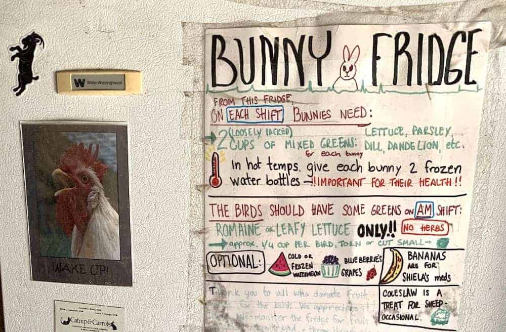 A handwritten sign on a refridgerator explaining what to feed and provide to rabbit and avian residents.