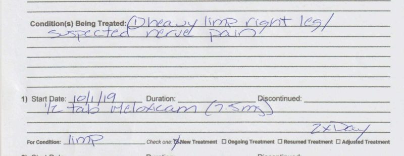 A sample of the Treatment Record: Under "Conditions Being Treated", "heavy limp right leg, suspected nerve pain". For the treatment, the date is listed, as is 1/2 tab meloxicam (7.5 mg), twice a day.