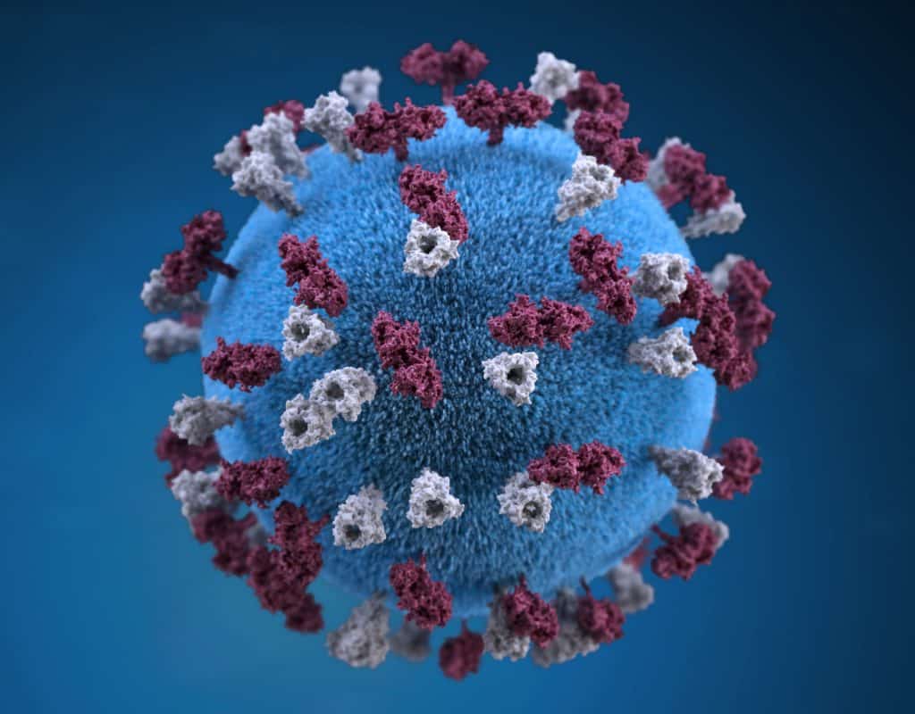 A rendering of the COVID-19 virus.