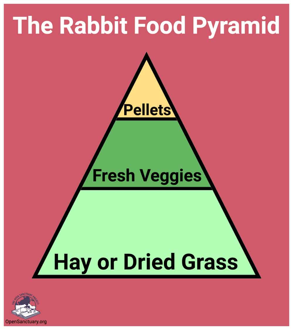 A graphic of The rabbit food pyramid. The tiniest top portion is labeled "Pellets". The larger middle portion is labeled "Fresh Veggies". The Largest bottom portion is labeled "Hay or Dried Grass".