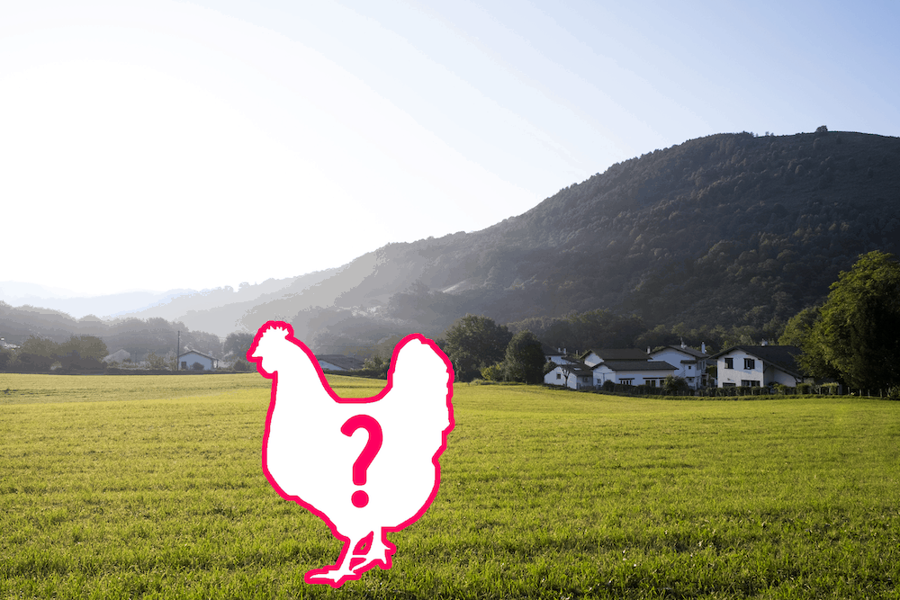 An outline of a chicken in a field, illustrating the concept of a "missing" chicken.
