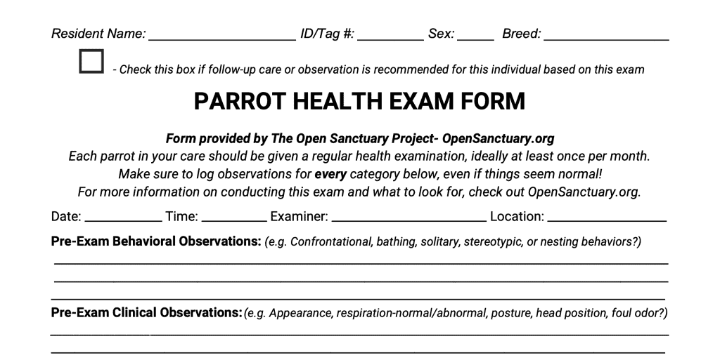 A sample of the downloadable parrot health exam document