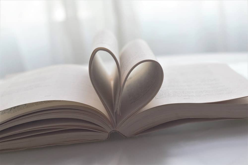 book pages curled to make a heart.