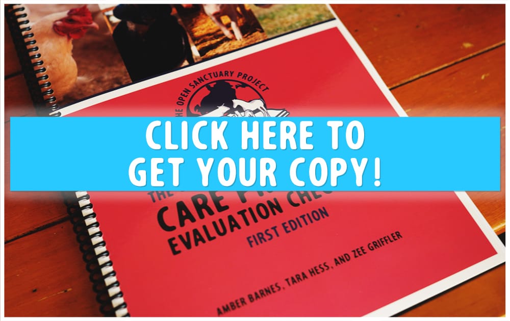 A picture of the Care Program Evaluation Checklist with a banner that reads "click here to get your copy!"
