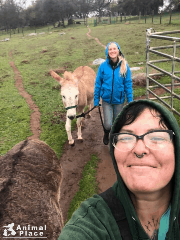 Caregiver looks up into camera and shows resident donkeys walking with her and another care taker.