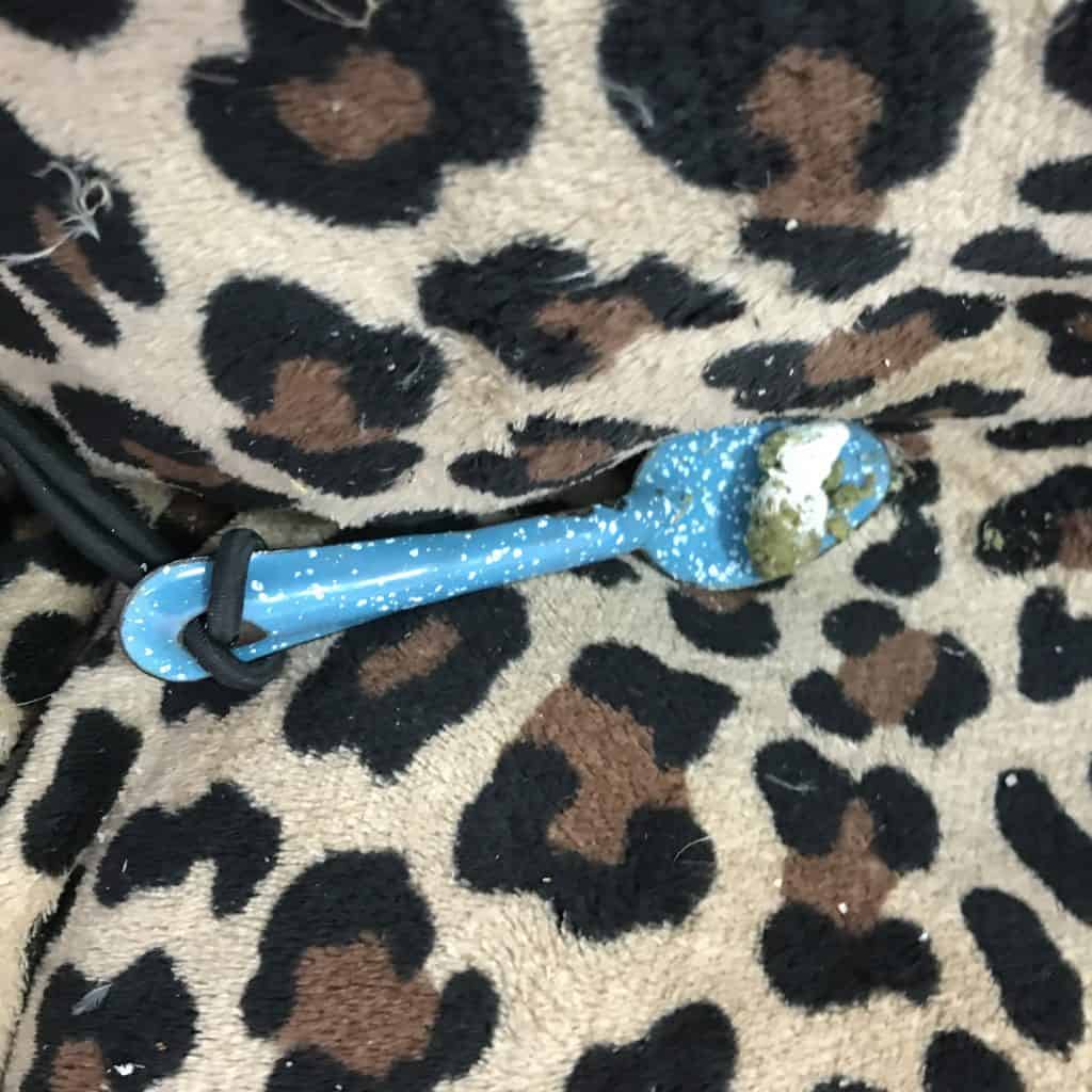 A blue spoon holding a small clump of chicken poop sits on a cheetah print blanket.
