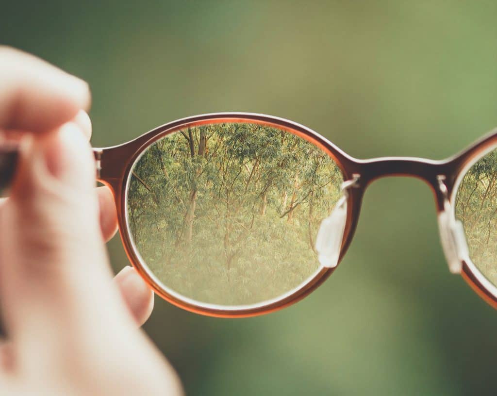 A human hand holding a pair of brown glasses in front of them. Inside the glasses lens, there is a clear image of a group of trees. Outside of the lens, it is blurry.