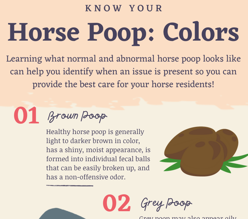 Know Your Horse Poop Colors Infographic The Open Sanctuary Project