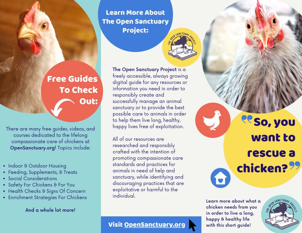 The exterior page of the "so you want to rescue a chicken" brochure