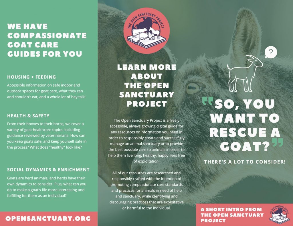 The exterior page of the "so you want to rescue a goat" brochure