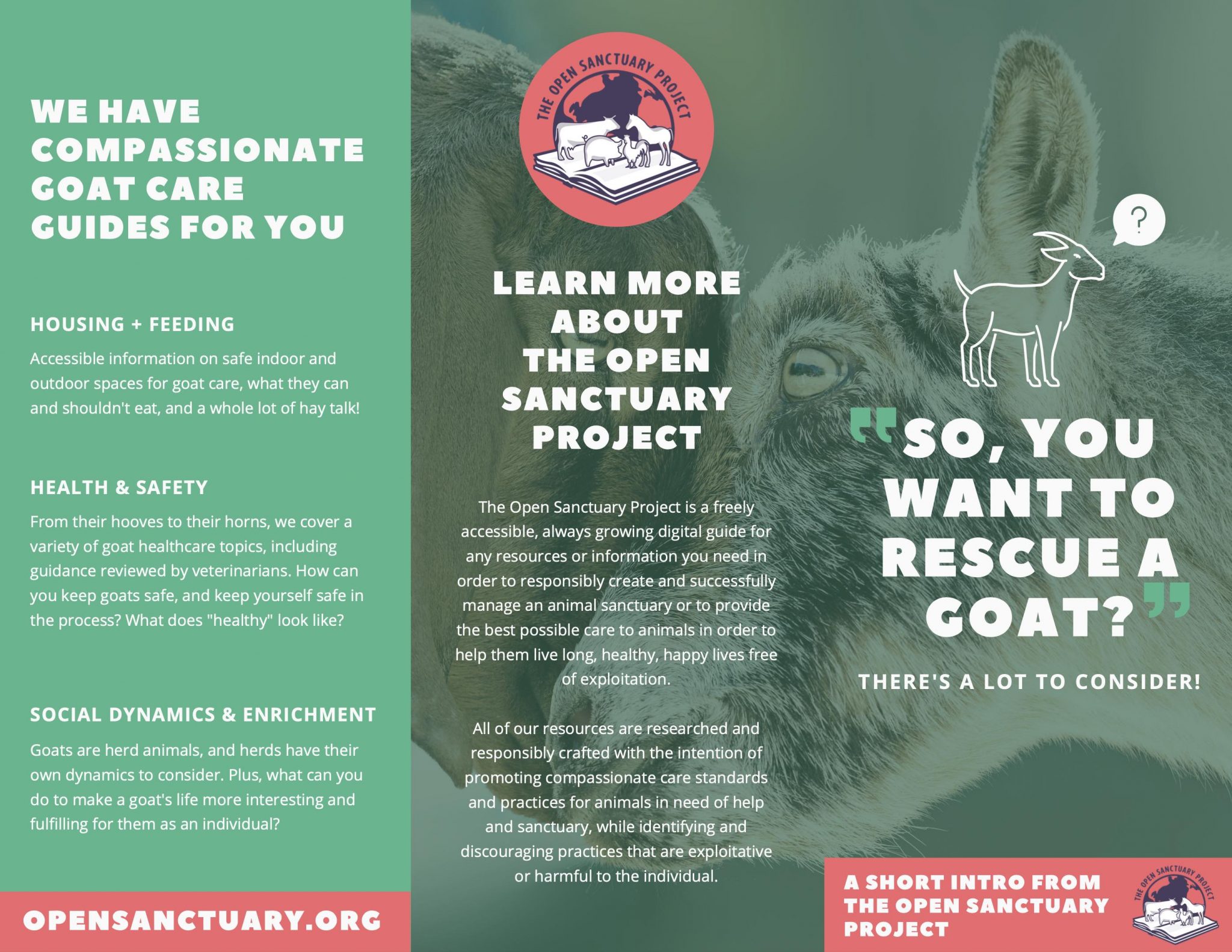 The Open Sanctuary Project's "So You Want To Rescue A Goat" Brochure ...