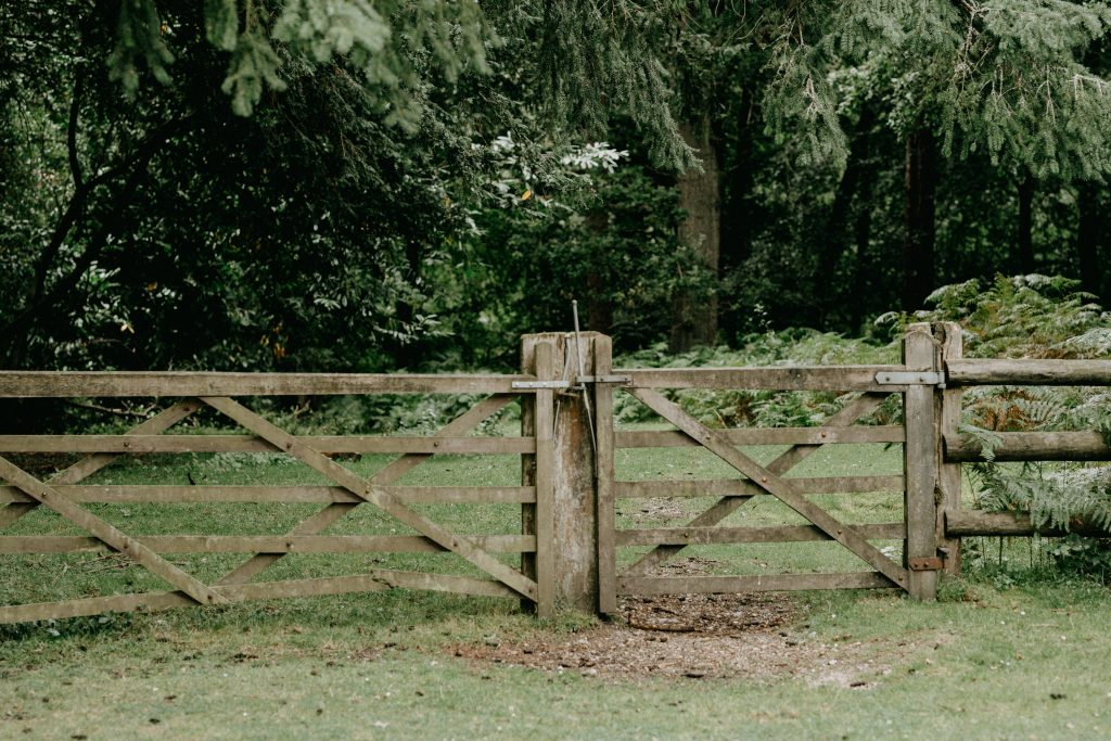 A photo of a fence line with a gate that is closed. There is green grass on the ground and pine trees in the background.