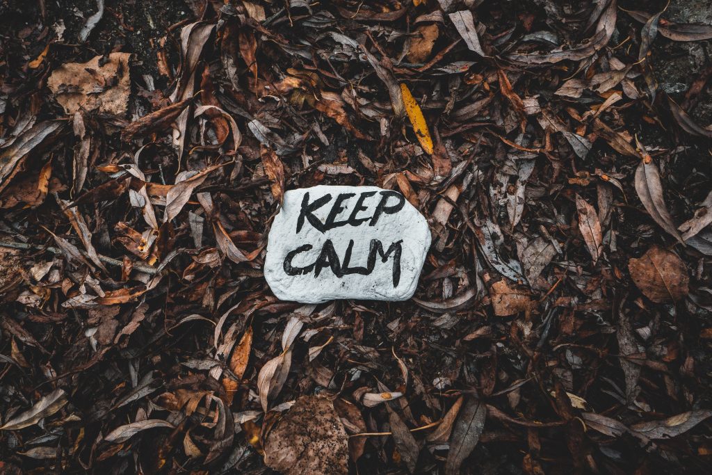 A photo of dark brown and some yellow leaves on the ground. In the middle of the ground is a light grey stone that says "Keep Calm" painted on it.