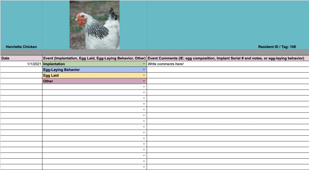 Sample of our digital implant and egg laying spreadsheet