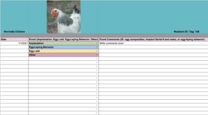a spreadsheet logging chicken egg laying status