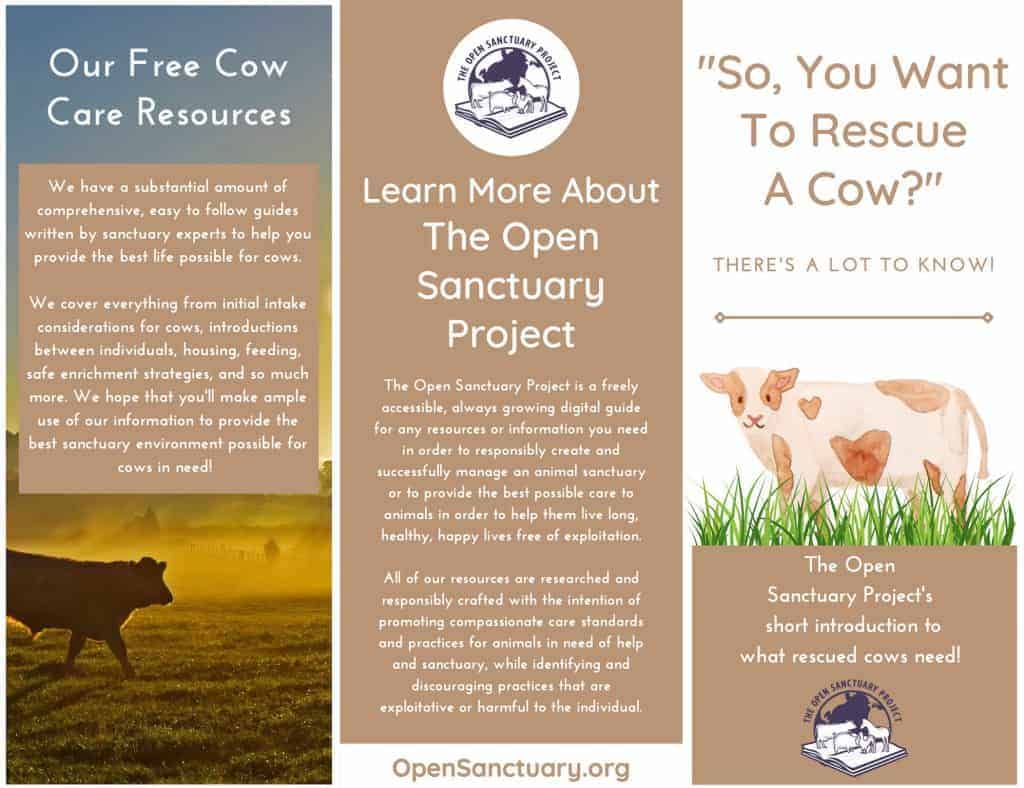 The first page of a trifold brochure dedicated to information about rescuing cows