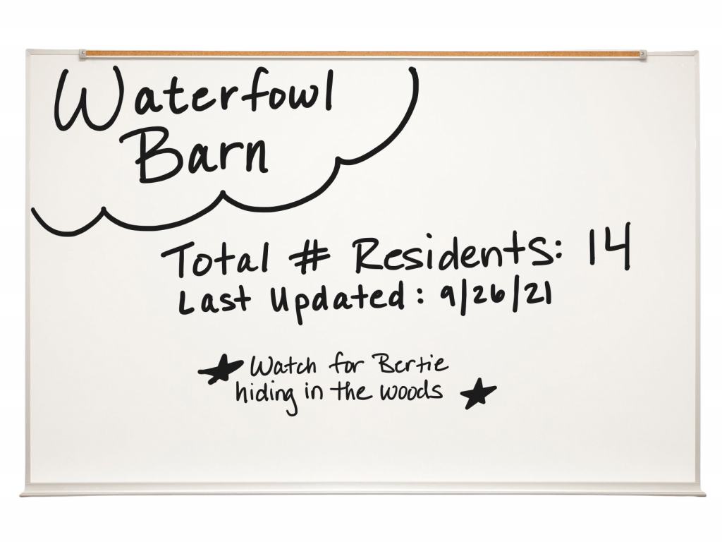 Whiteboard reads: "Waterfowl barn. Total number of residents: 14. Last updated: 9/26/21. Watch for Bertie hiding in the woods.