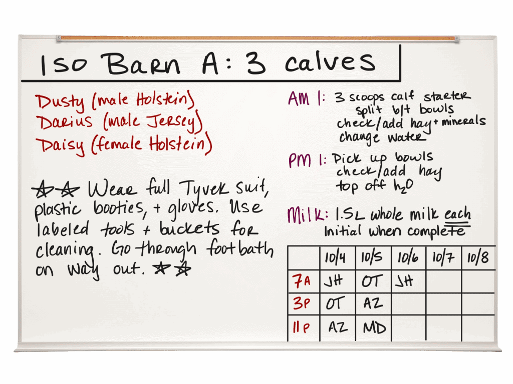 Whiteboard is titled "ISO Barn A: 3 Calves". On the left side it lists the names and descriptions of the three calves, followed by the biosecurity instructions- "Wear full Tyvek suit, plastic booties, and gloves. Use labeled tools and buckets for cleaning. Go through foot bath on way out." The right side has feeding instructions followed by a log for milk feeding.