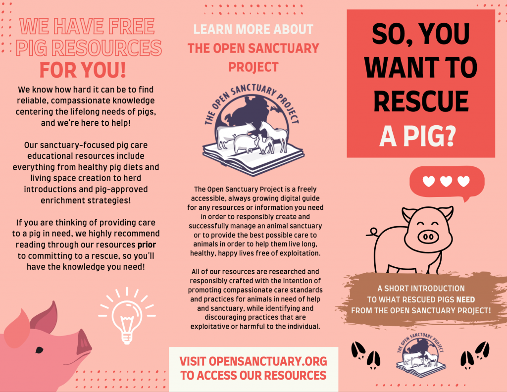 The first page of the Open Sanctuary Project's pig rescue brochure.
