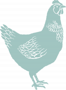 blue chicken graphic