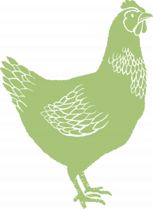 green chicken graphic