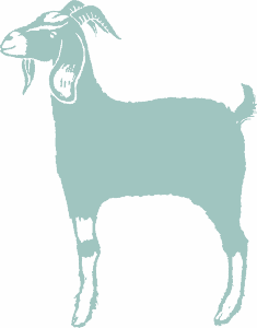 blue goat graphic
