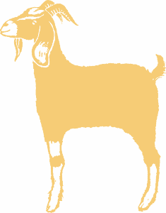 yellow goat graphic