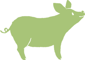 green pig graphic