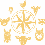 a series of animal graphics around a compass