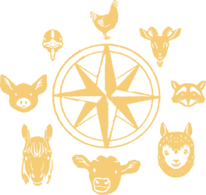 a series of animal graphics around a compass