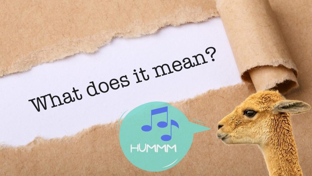 Banner reading "what does it mean?" with an alpaca and speech bubble with musical notes and the word humm.
