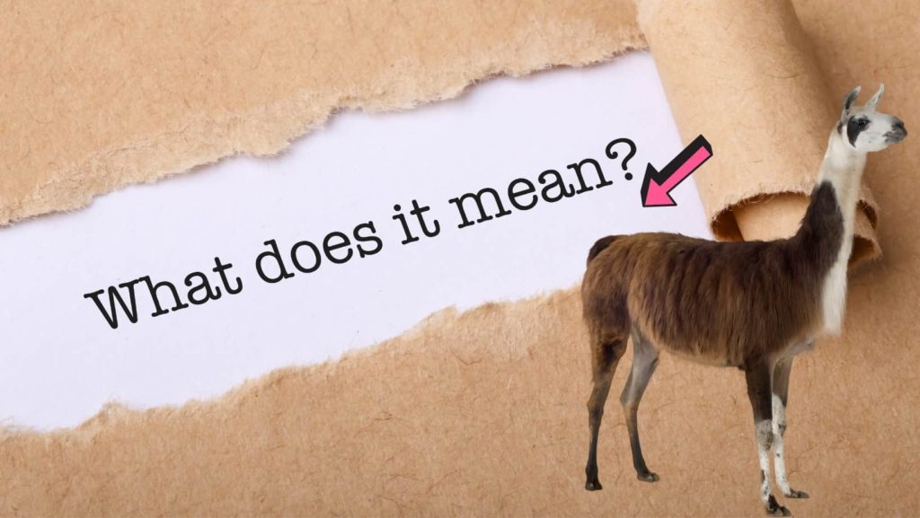 A banner reading "what does it mean?" with an arrow pointing to a llama's tail.