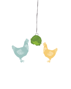 Graphic showing chickens pecking at a cabbage that is hanging from the ceiling. 