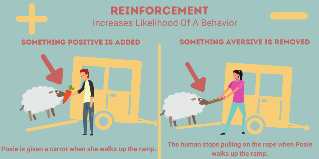 A graphic about reinforcement