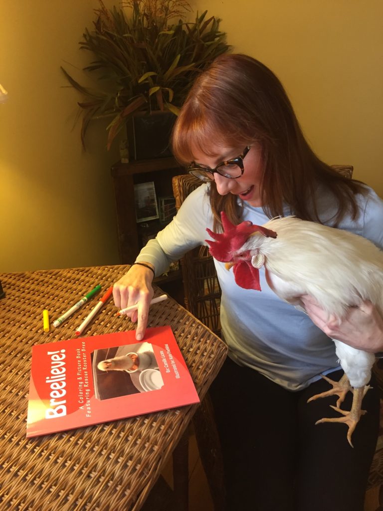 A photograph of a person with long red hair and glasses holding a white rooster in their left arm. They are both looking down at a red coloring book on a brown table. The person is holding a pen and pointing to the coloring book. The image on the coloring book is a photograph of the rooster as a chick. The title of the coloring book is emboldened in white text and says "Breelieve!". 
