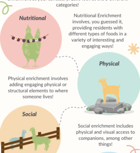 A sample of our categories of enrichment infographic!