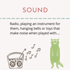 Graphic shows a racoon listening to music playing from a radio. Above is a title reading "Sound." and examples of auditory enrichment.